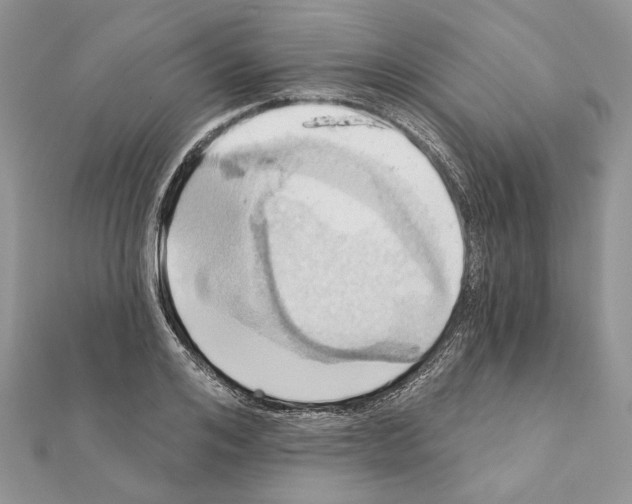 X0000111360984200908211253