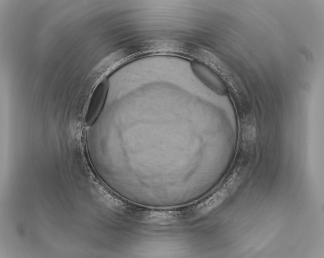 X0000111360985200908211253