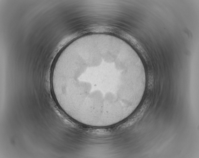 X0000111360986200908211253
