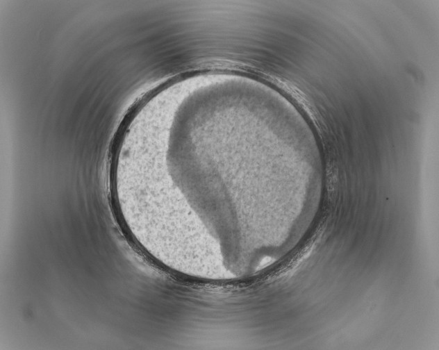 X0000111360987200908211253