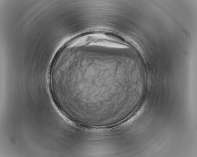 X0000111360989200908211253