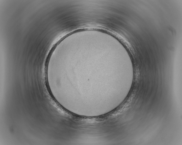 X0000111360990200908211253