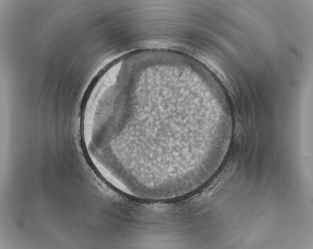 X0000111360992200908211253