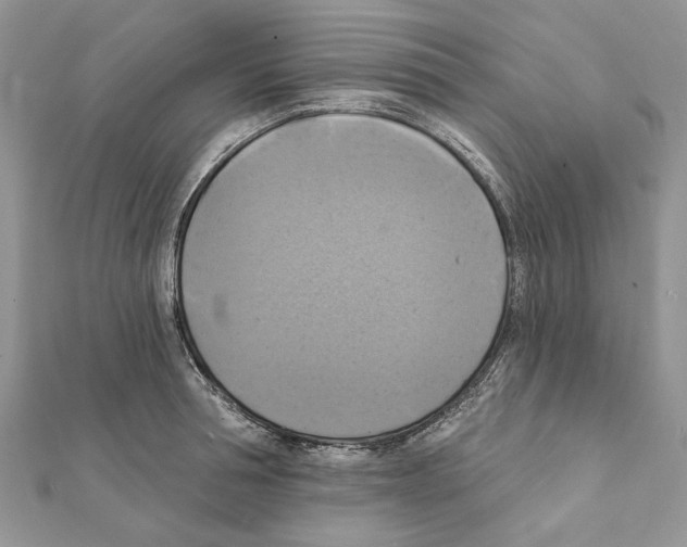 X0000111360994200908211253