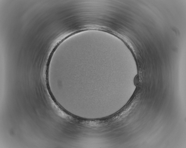 X0000111360995200908211253