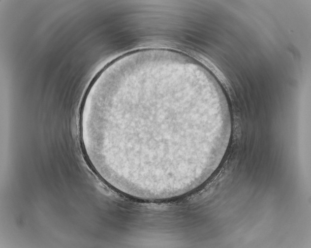 X0000111360996200908211253