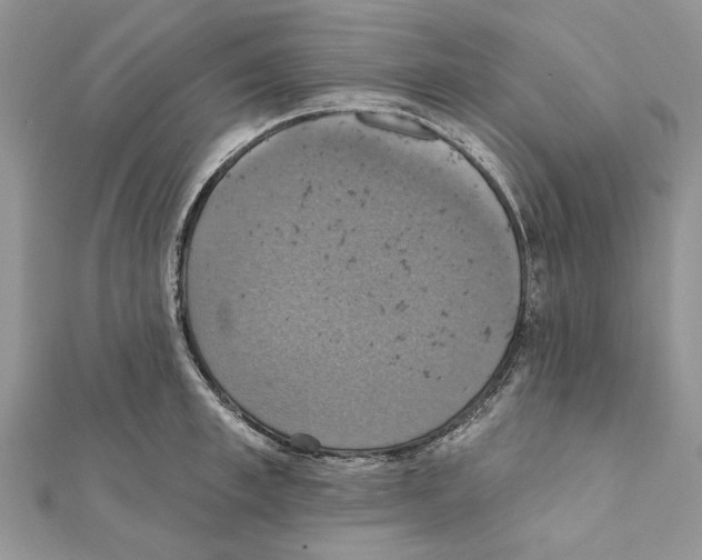 X0000111360997200908211253