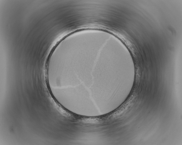 X0000111360998200908211253