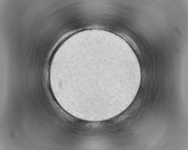 X0000111361000200908211253