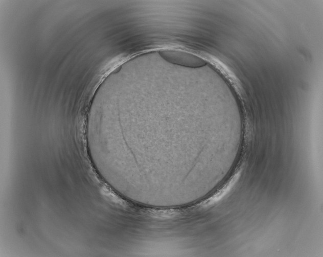 X0000111361001200908211253