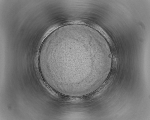 X0000111361002200908211253