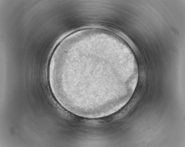 X0000111361004200908211253