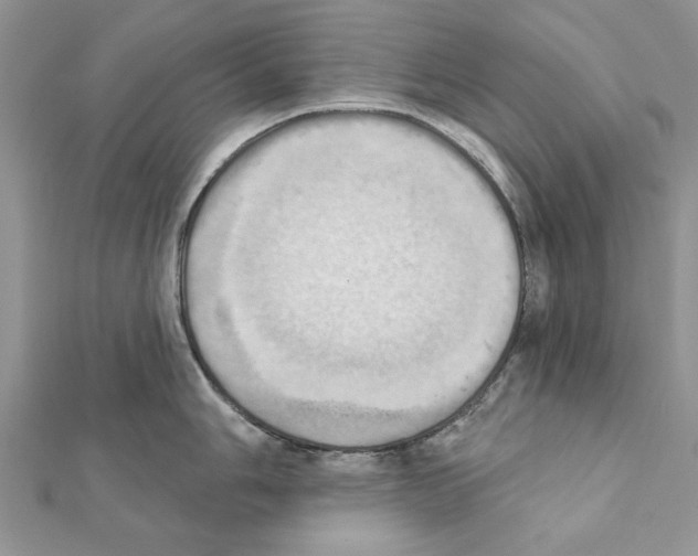 X0000111361006200908211253