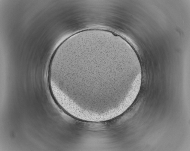X0000111361007200908211253