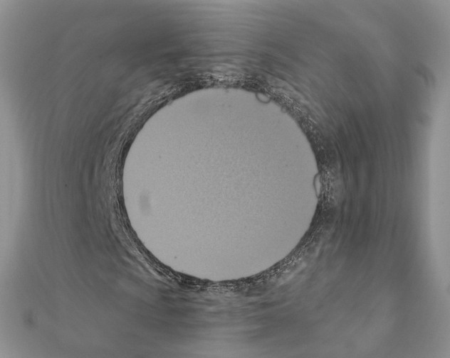 X0000111361009200908211252