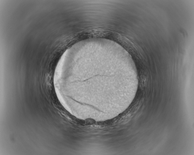X0000111361010200908211252