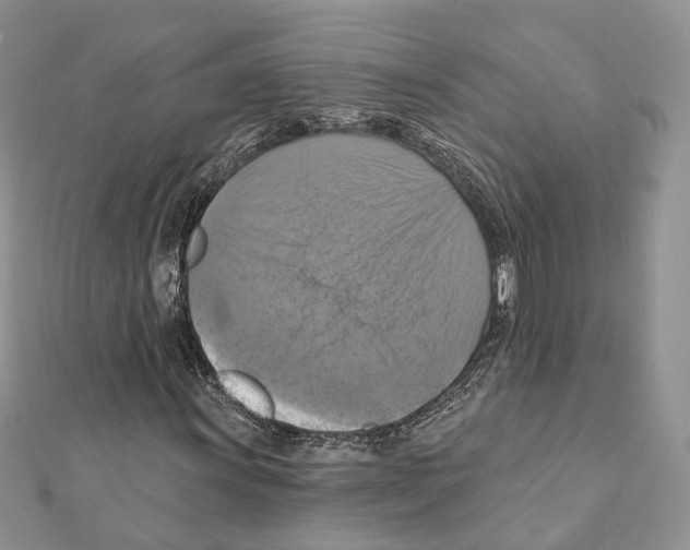X0000111361011200908211252