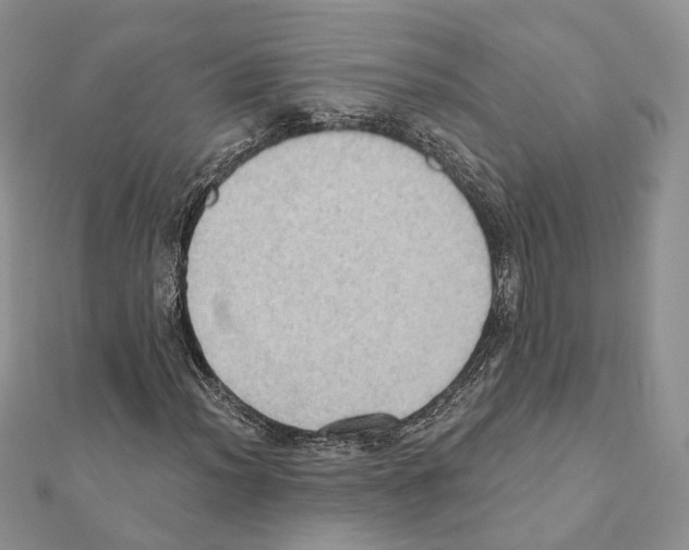 X0000111361012200908211252