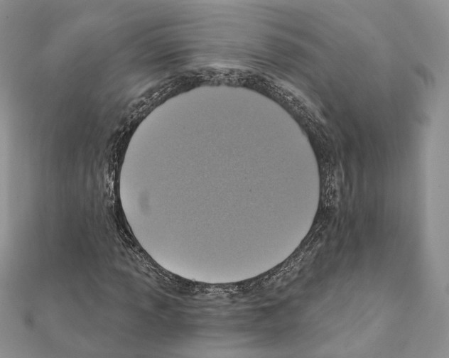 X0000111361013200908211252