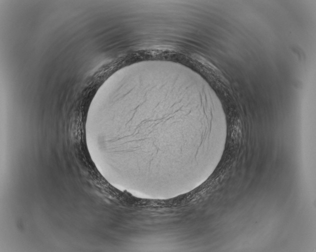 X0000111361014200908211252