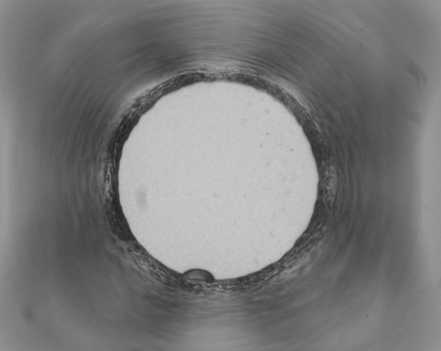 X0000111361016200908211252