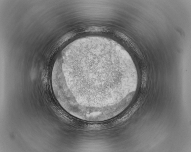 X0000111361017200908211252