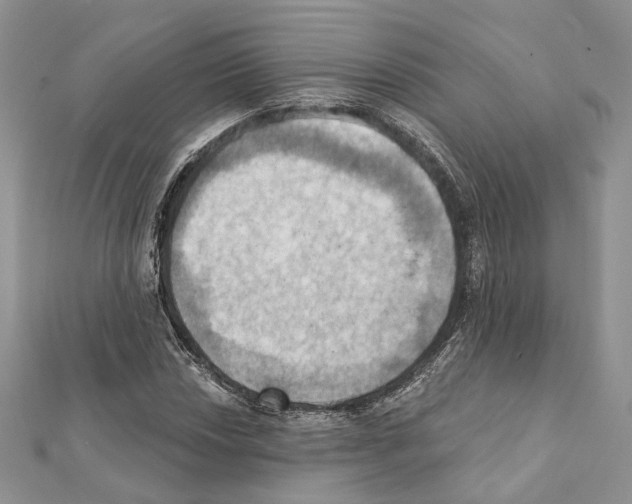 X0000111361018200908211252