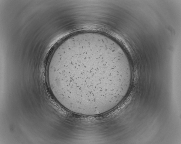 X0000111361019200908211252