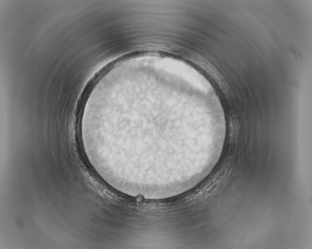 X0000111361020200908211252