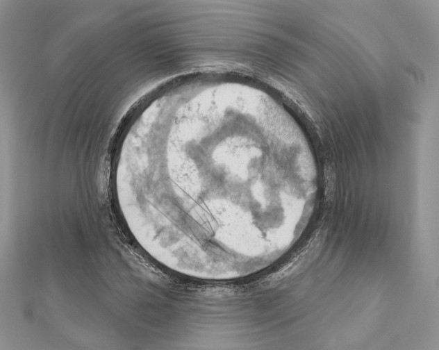 X0000111361021200908211252