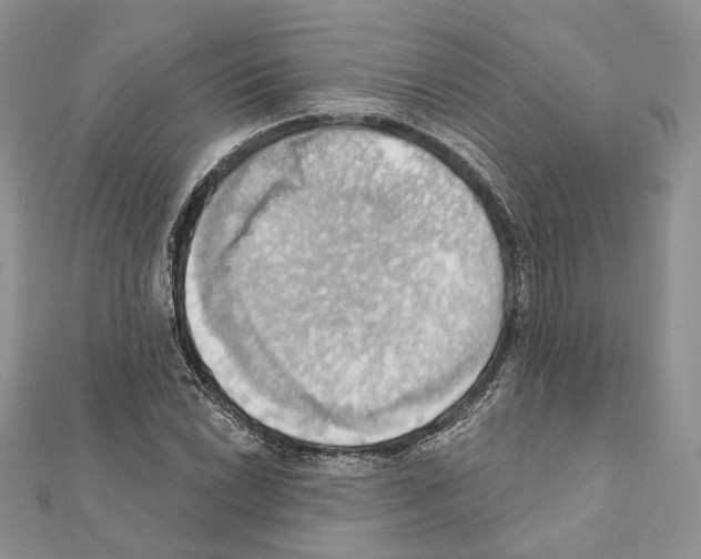 X0000111361022200908211252