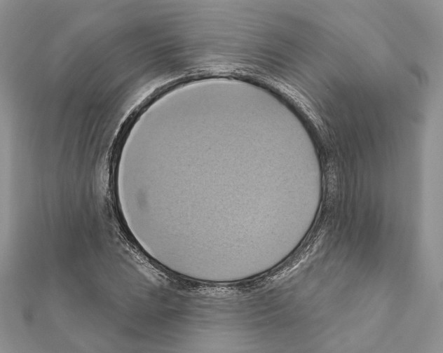 X0000111361023200908211252