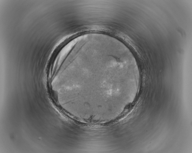 X0000111361024200908211252