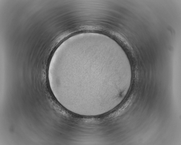 X0000111361025200908211252