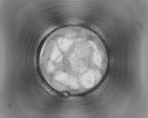 X0000111361026200908211252