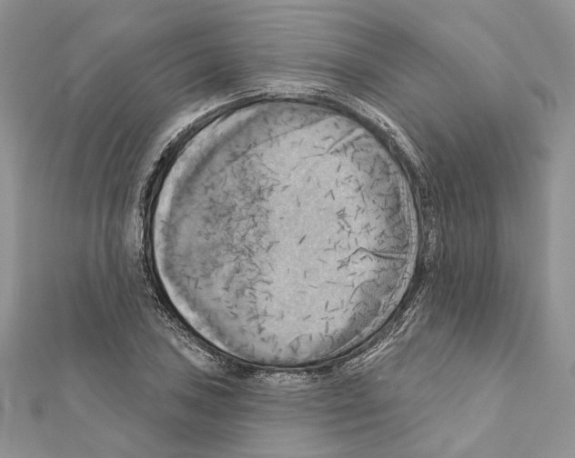 X0000111361027200908211252