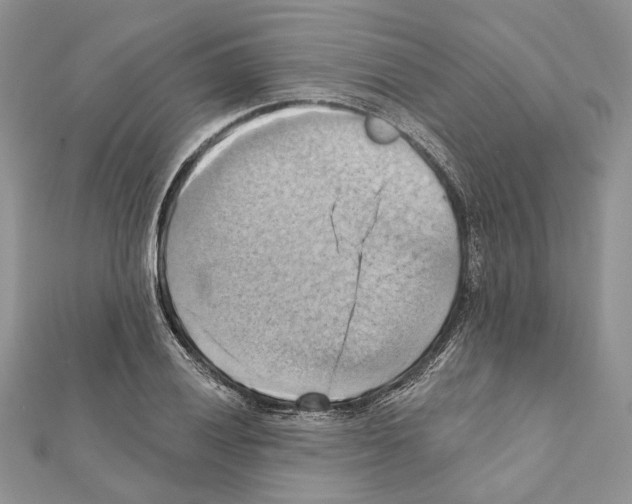X0000111361028200908211252