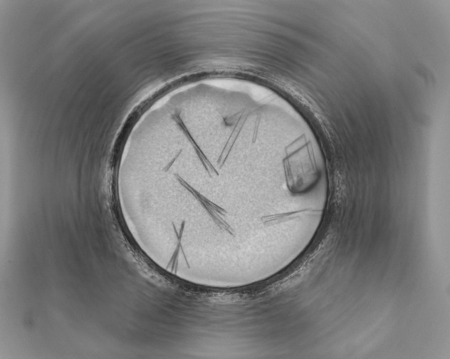 X0000111361029200908211252