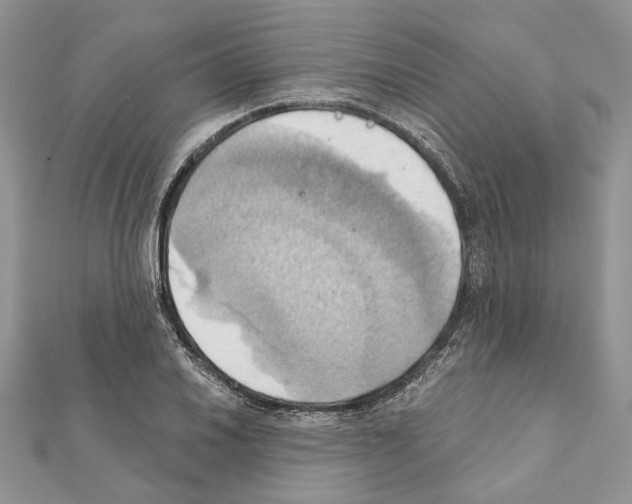 X0000111361030200908211252
