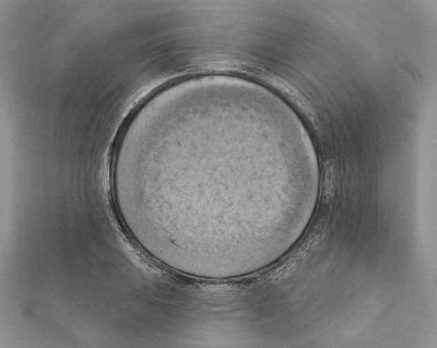 X0000111361031200908211252