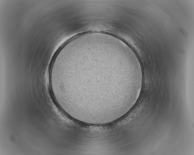 X0000111361032200908211252