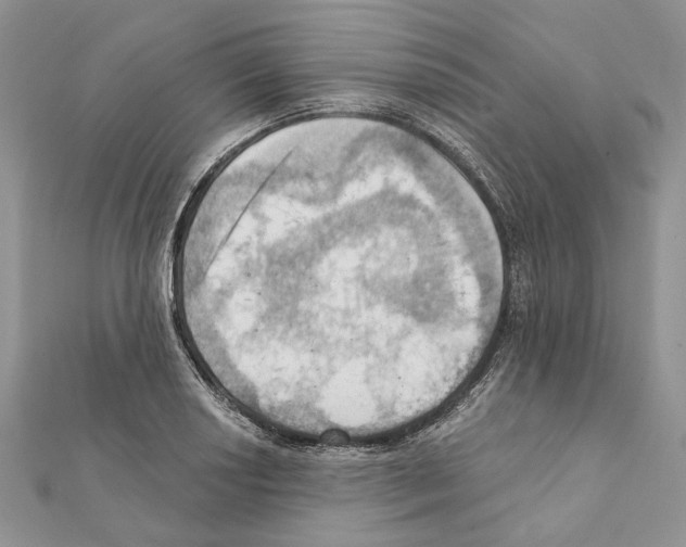 X0000111361034200908211252