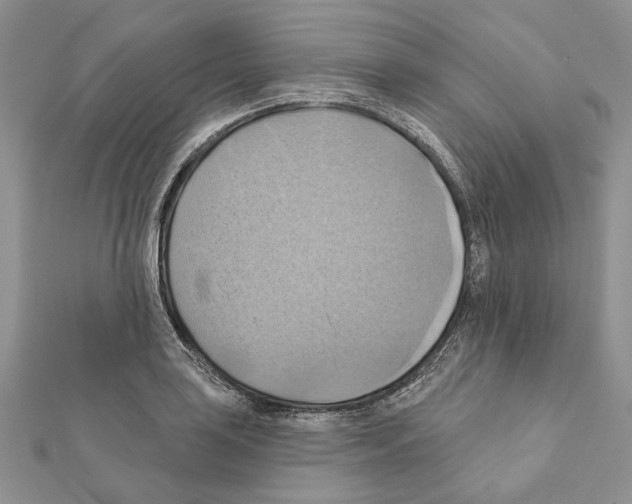 X0000111361035200908211252