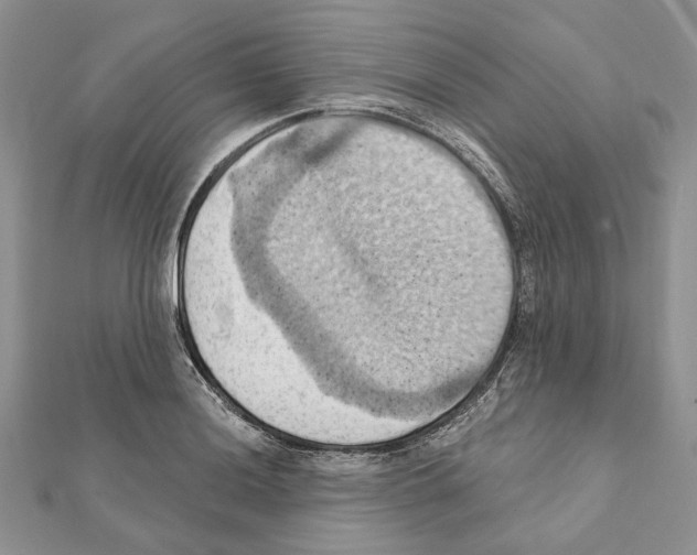 X0000111361036200908211252