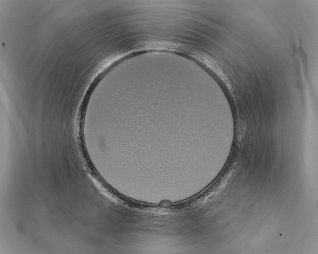 X0000111361037200908211252