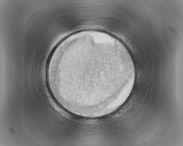 X0000111361038200908211252