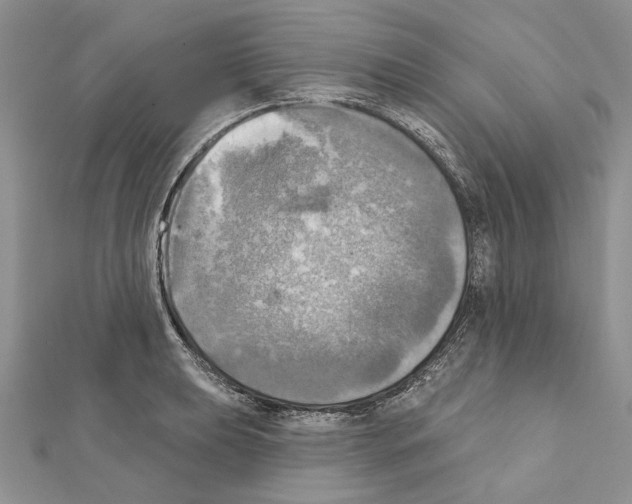 X0000111361039200908211252