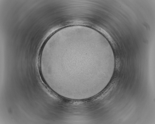 X0000111361043200908211252