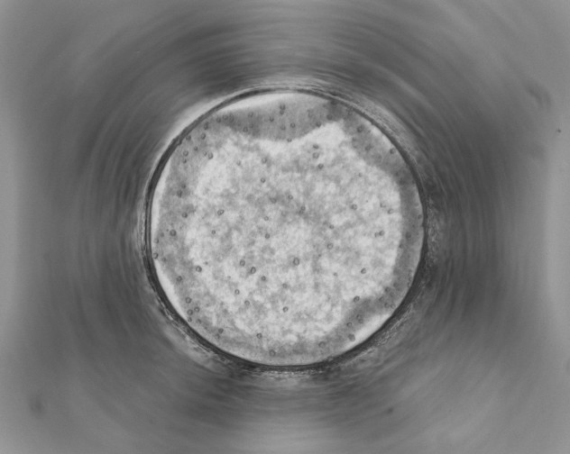 X0000111361044200908211252