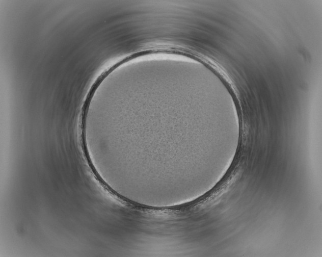 X0000111361045200908211252